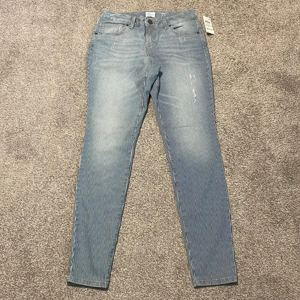 NWT S&CO. Macy’s Pin Striped Skinny Low Rise Denim Jeans 6